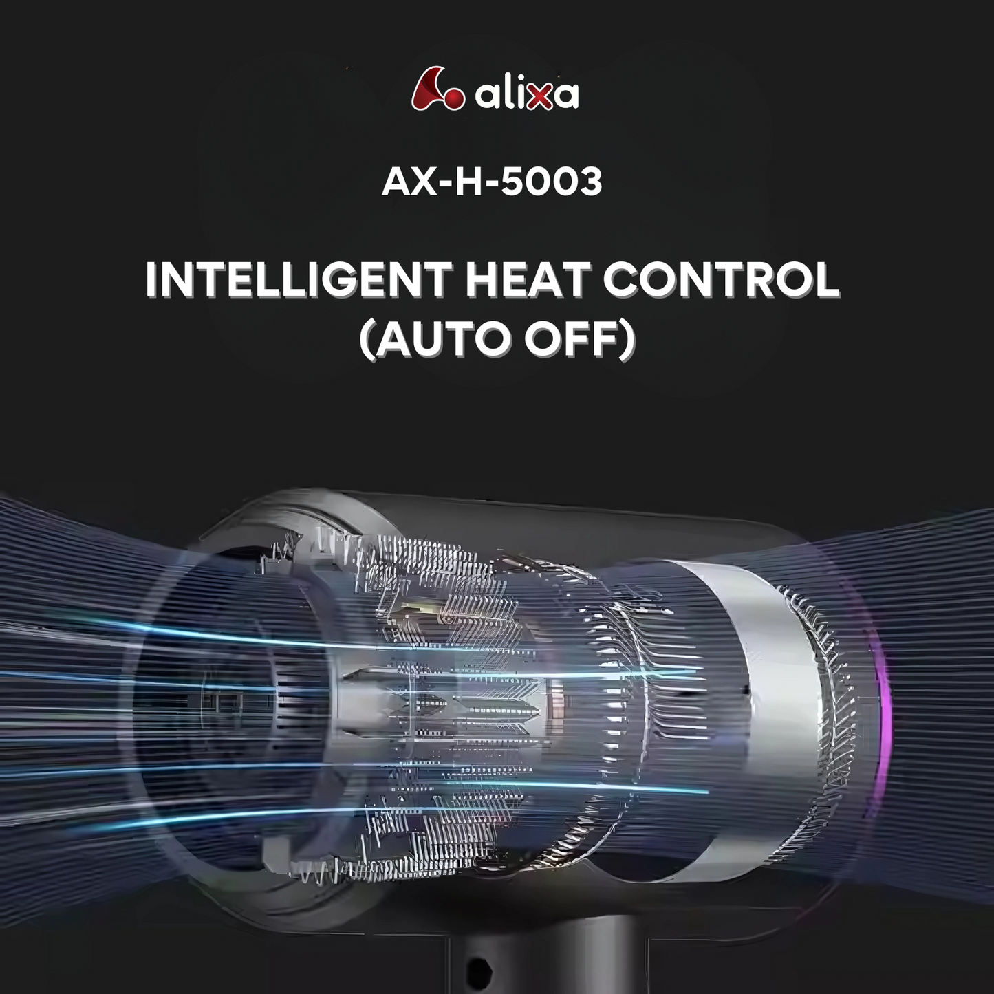 Alixa Hair Dryer AX-H-5003 - Get a Salon-Quality Blowout at Home